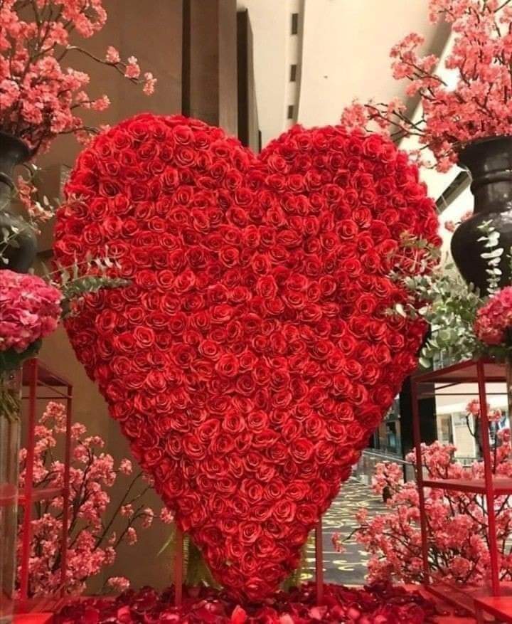 YÊU ANH YÊU ANH