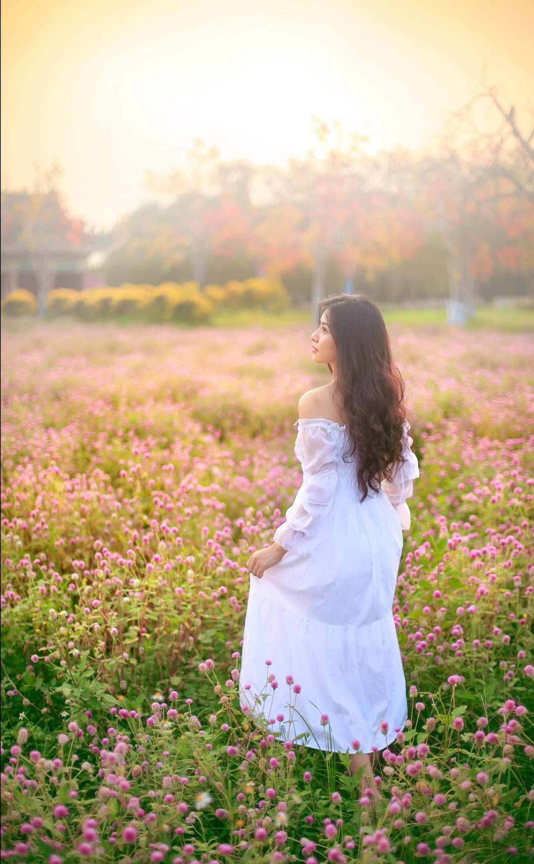 TRẢ LẠI NHỮNG ĐAM MÊ !!! TRẢ LẠI NHỮNG ĐAM MÊ !!!