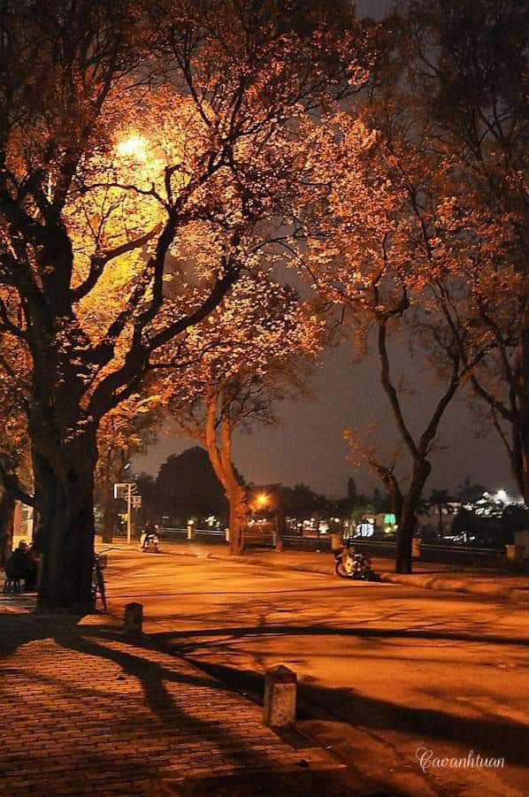 PHỐ VẮNG PHỐ VẮNG